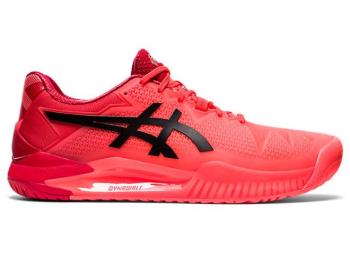 Asics GEL-RESOLUTION 8 TOKYO Herre Tennissko NO524GJ